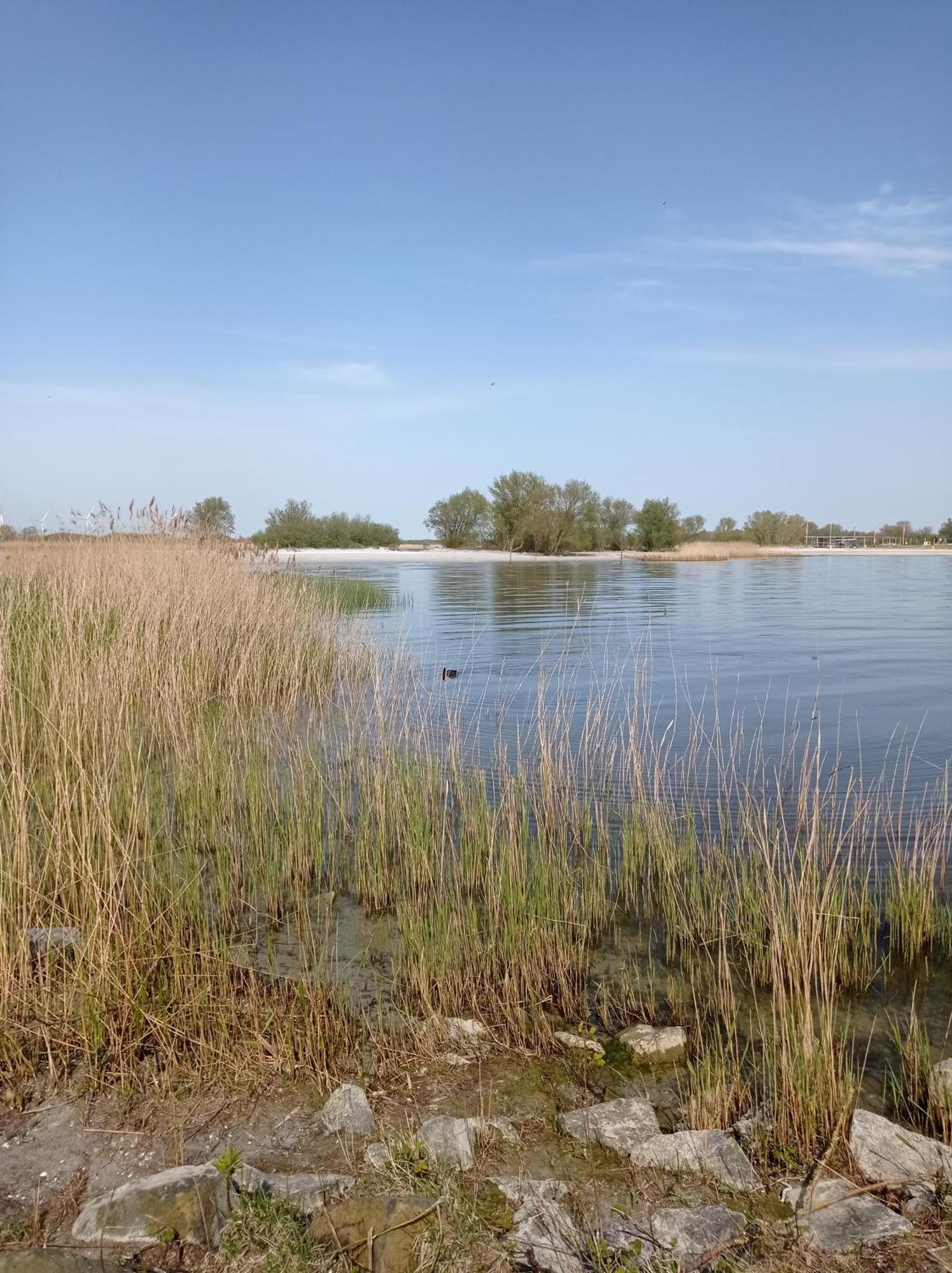 Appartement Ijsselmeer Makkum Strand ภายนอก รูปภาพ